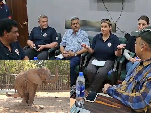 A team of international experts reached Karachi to treat the sick elephant in the zoo