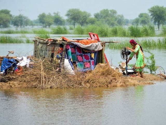 In the meeting between Sindh Chief Minister and IRC CEO, wider cooperation to help the flood victims was discussed.  Photo: File 