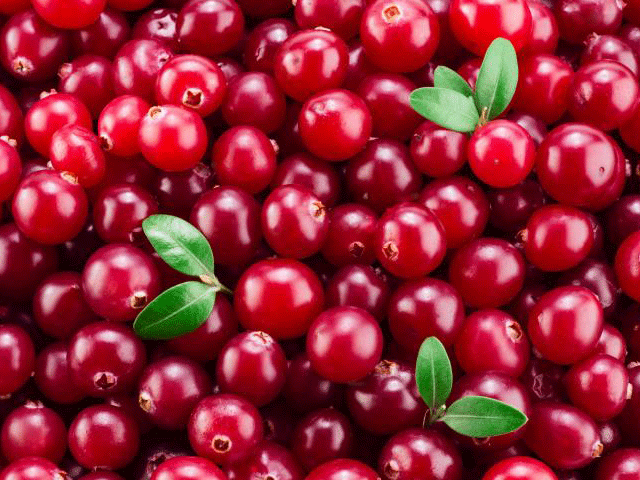 More evidence has been found for the usefulness of pomegranate juice in the treatment of UTIs Cranberry or cranberry juice can prevent recurrent attacks of urinary tract infections. Photo: File