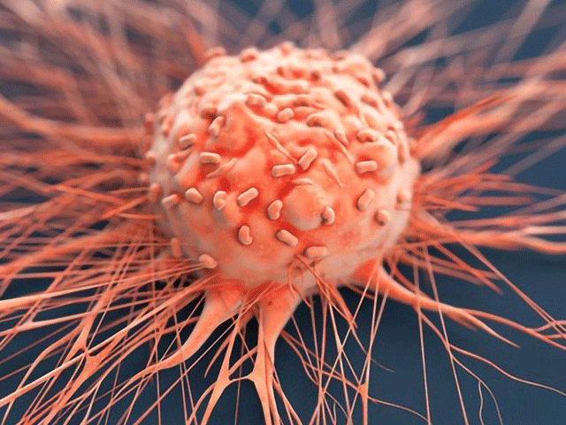American experts have created a paper test to identify cancer.  Photo: File 
