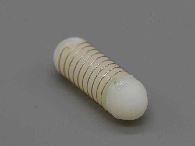 MIT and other experts have developed an appetite suppressant capsule modeled after an Australian lizard.  Photo: Courtesy of New Atlas 