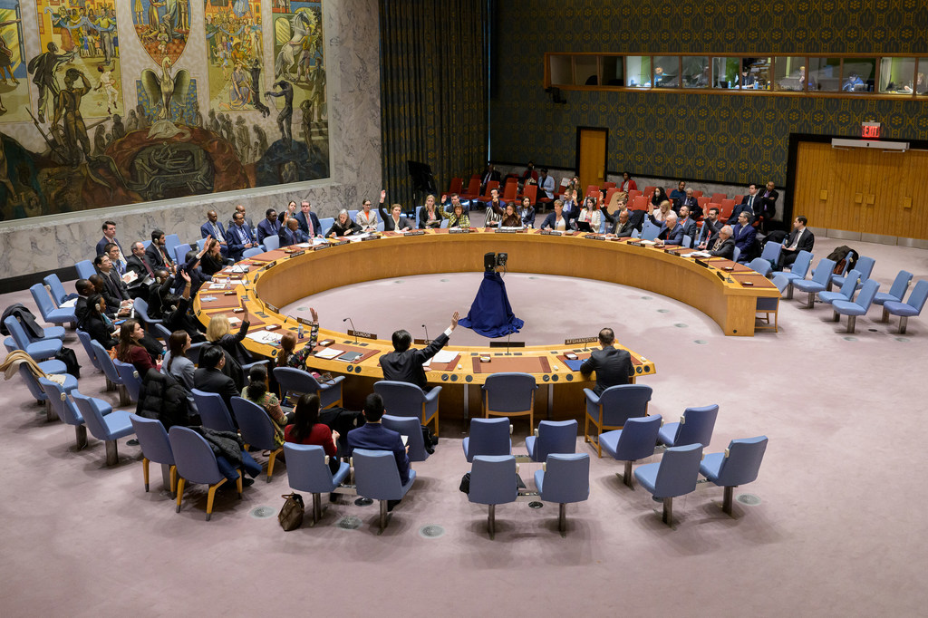 Security Council Meets on Situation in Afghanistan