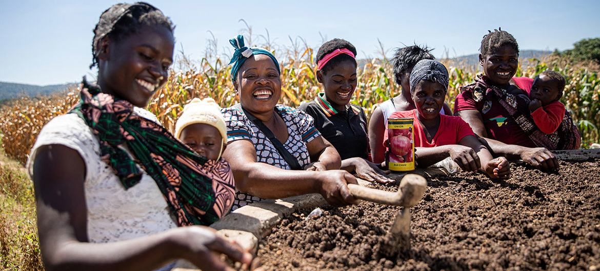Women learn how to farm their land in Chipata, Zambia. Women learn how to farm their land in Chipata, Zambia.