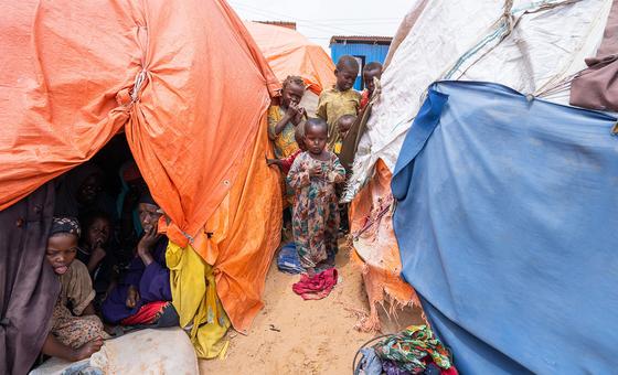 Somalia: .6 billion appeal to aid millions still on the brink of famine