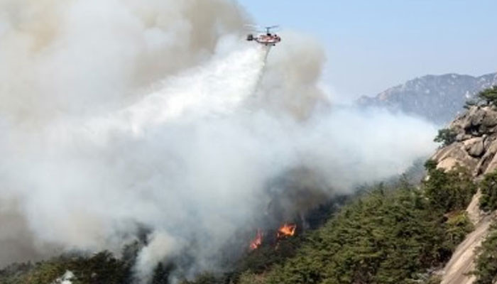 A fire broke out in the forests of Gangneung, a coastal city in South Korea