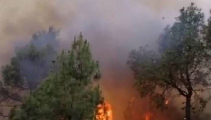 A fire broke out in the hills of Margalla near Faisal Masjid