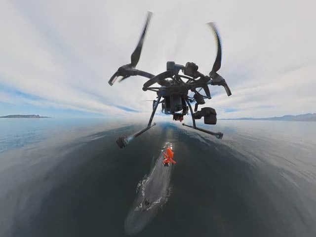 A unique whale tagging and observation drone