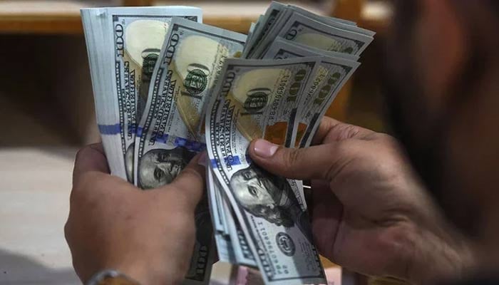 Domestic foreign exchange reserves decreased by 195 million dollars, State Bank