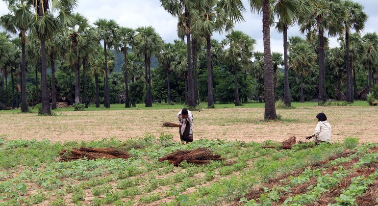 First Person: Why indigenous peoples can help save the planet