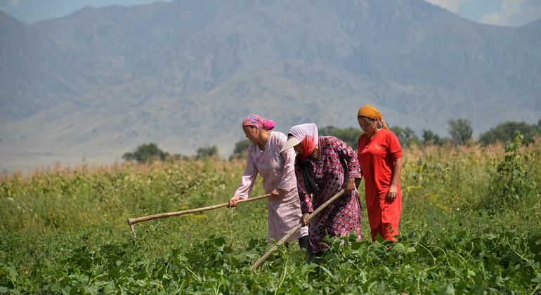 Gender inequalities in food and agriculture are costing world $1 trillion: FAO