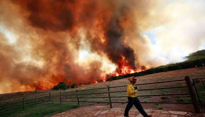 Horrible fire in dairy farm, 18 thousand cattle died