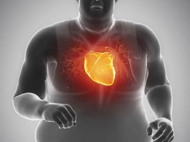 Losing weight can have beneficial effects on the heart