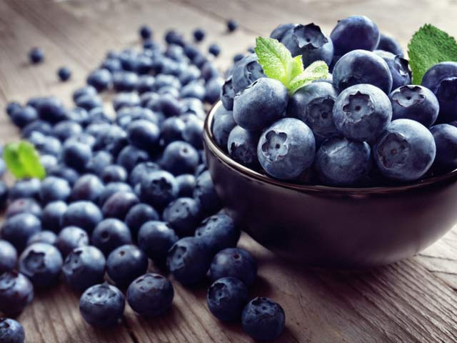 More medical benefits of blueberries have come to light