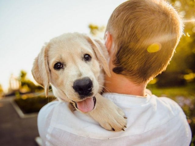 Pets May Reduce Risk of Allergies in Children, Research