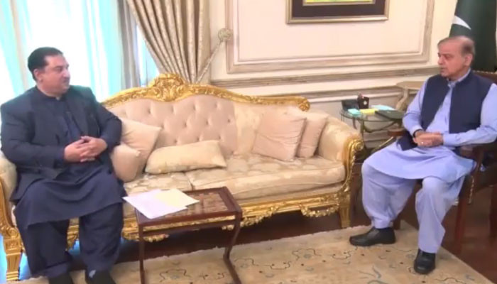 Prime Minister's directive for effective measures for electricity supply in summer