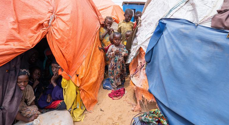 Somalia: $2.6 billion appeal to aid millions still on the brink of famine