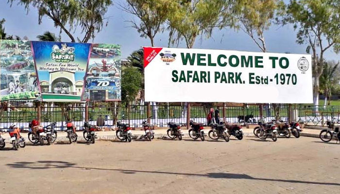 Transferring elephant Madhu Bala, the Four Paws team will visit the Safari Park today