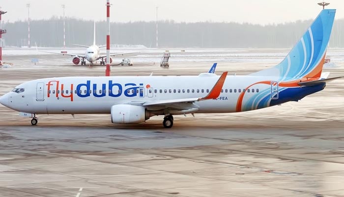 UAE plane hit by bird during flight, emergency landing