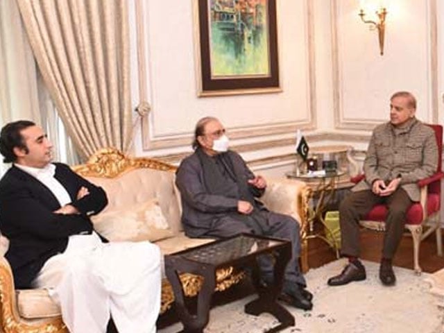 Zardari and Bilawal met with the Prime Minister, agreed to take legal and constitutional measures