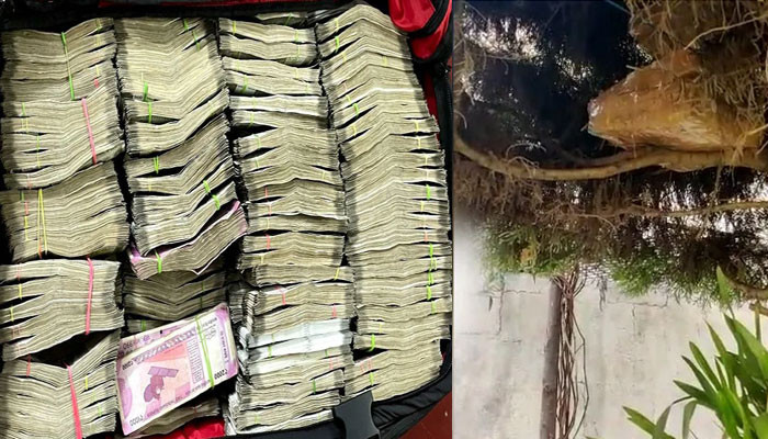 1 crore hidden in the tree of the house recovered