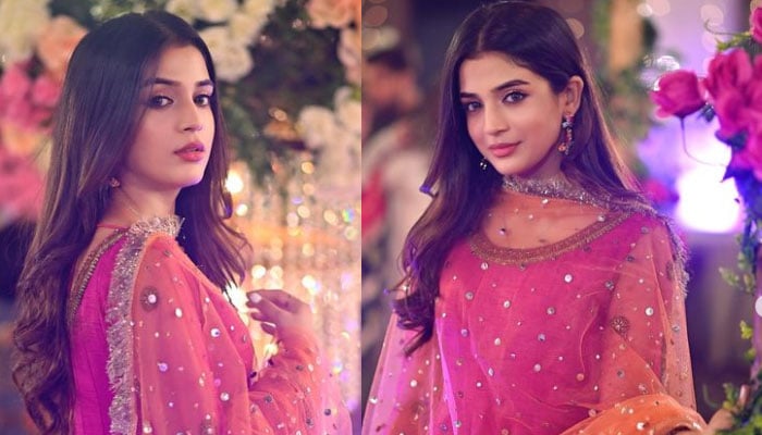 How is Laiba Khan looking for a companion? Collage courtesy of Instagram