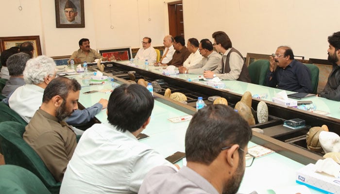 A coordination committee was established for the promotion of arts and culture of Sindh A coordination committee was established for the promotion of arts and culture of Sindh