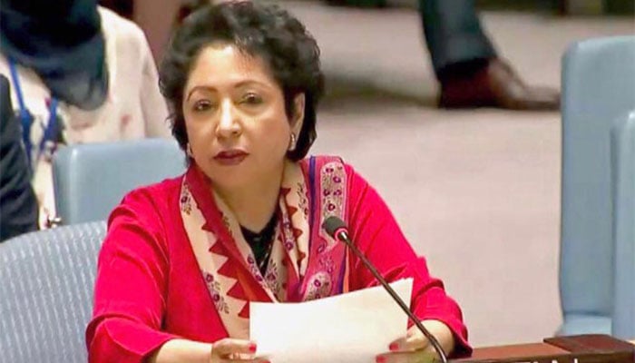 Nothing surprising happened in Foreign Minister's visit to India, Maleeha Lodhi Nothing surprising happened in Foreign Minister's visit to India, Maleeha Lodhi