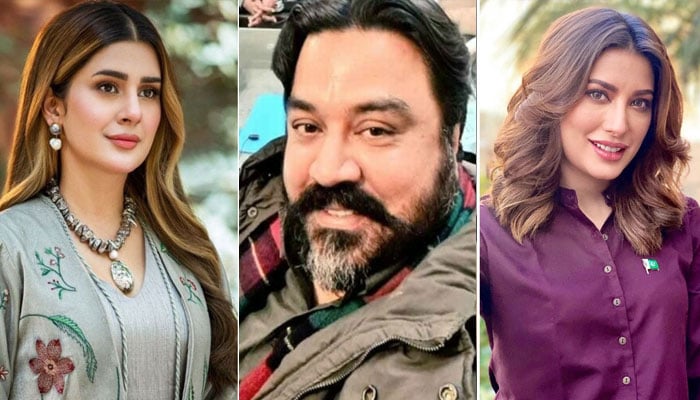 The hearing on the application of Mehwish Hayat and Kabra Khan against Major (R) Adeel has been postponed for 3 months File photo