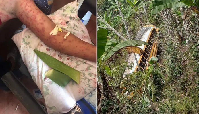 Flies attack passengers after bus accident, 6 killed Photo courtesy of Foreign Media