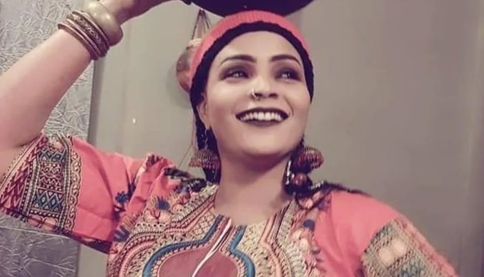 Singer Shadan Gardud died during the tension in Sudan Sudanese singer Shadan Gardud, who was killed during the ongoing tension - file photo