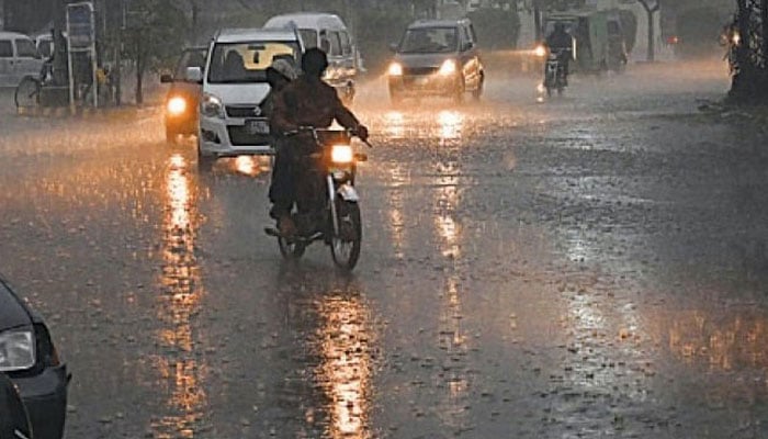 Deaths due to wind, heavy rain and hailstorm in Punjab Deaths due to wind, heavy rain and hailstorm in Punjab