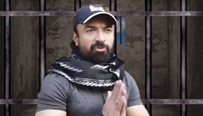 Indian actor Ijaz Khan was released after 2 years in the drug case Ejaz Khan, file photo