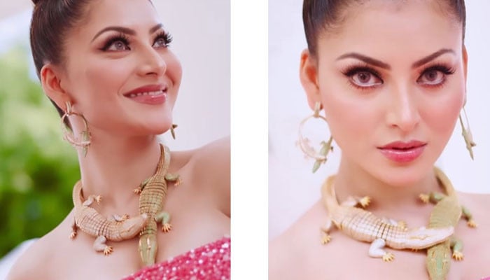 The truth about Urvashi Rotila's crocodile necklace has come out