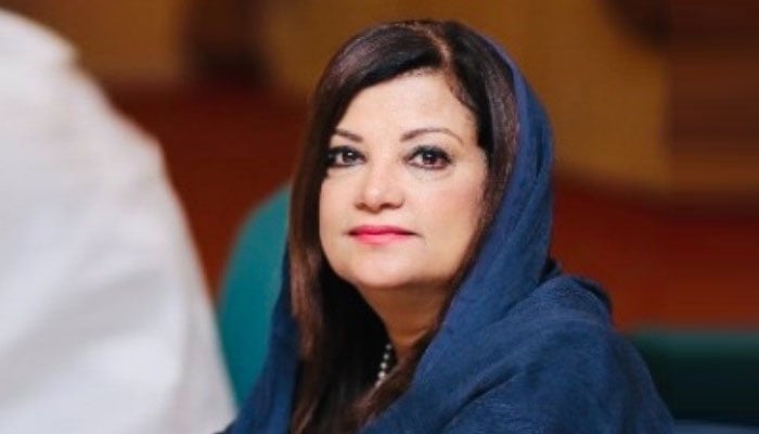 Former MNA Saima Nadeem was detained at the airport Screen grab, file photo