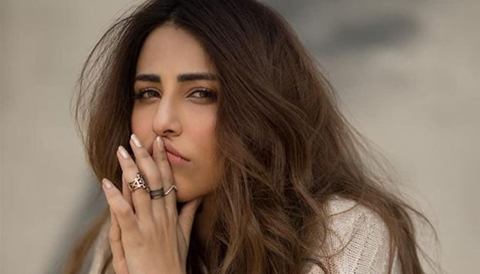 Ishna Shah took a Twitter user who criticized Pakistani dramas Ishna Shah took a Twitter user who criticized Pakistani dramas