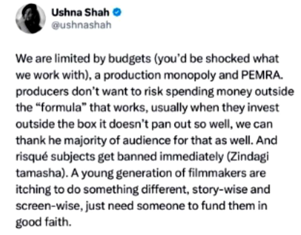 Ishna Shah took a Twitter user who criticized Pakistani dramas