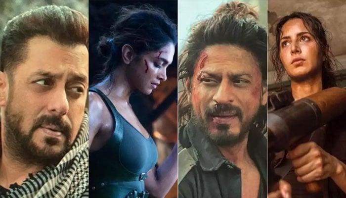 Who will be the heroines in 'Tiger vs Pathan', the names have come out File photo