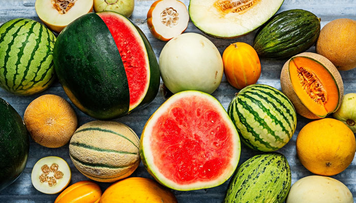 Watermelon, melon and garma are very useful from weight loss to heart health File photo