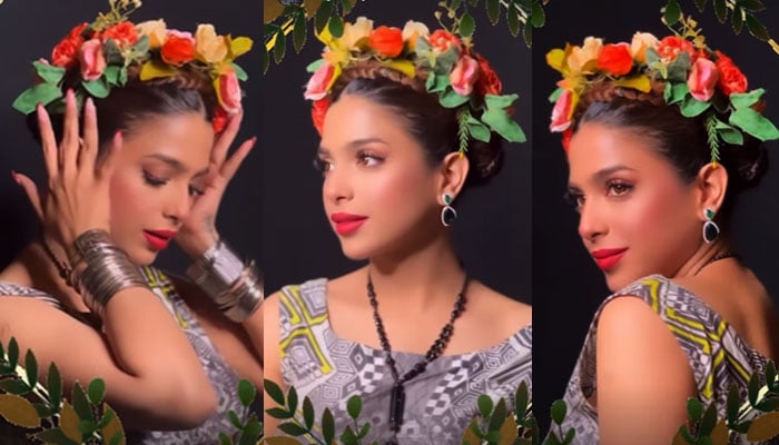 Sonia Hussain's new style ramp walk is nothing special to the fans Screen grab