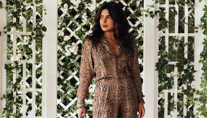 Priyanka Chopra was heavily criticized for acting in a Bollywood film