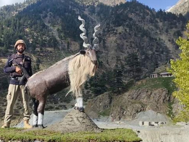 Statue of Mar Khor installed at Lowari Tunnel in Chitral