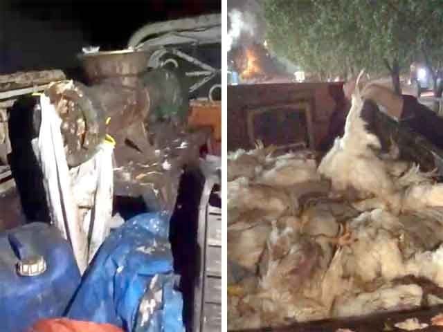 Karachi; More than 1,000 dead chickens brought for supply in hotels and marts were found The dead chickens were being delivered on two Suzukis (Photo: Video Grab)