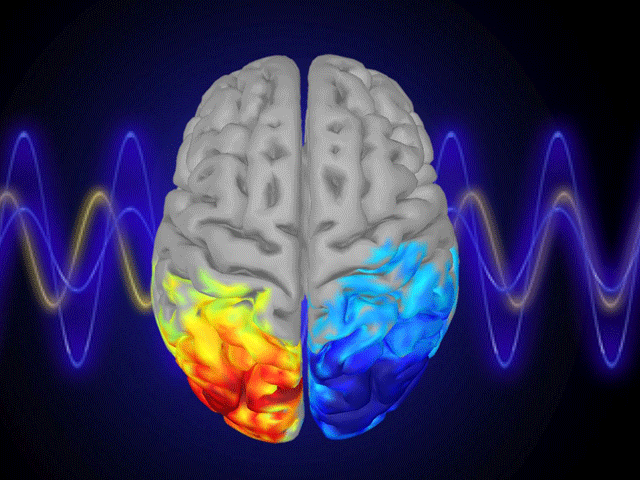 Various vitamins and exercise help keep the brain young Exercise and multivitamin diet can keep the brain young. Photo: File