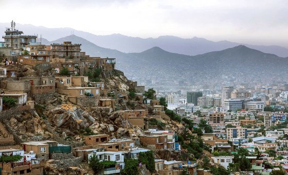 Afghanistan: Rights experts alarmed over Taliban use of ‘brutal’ punishments