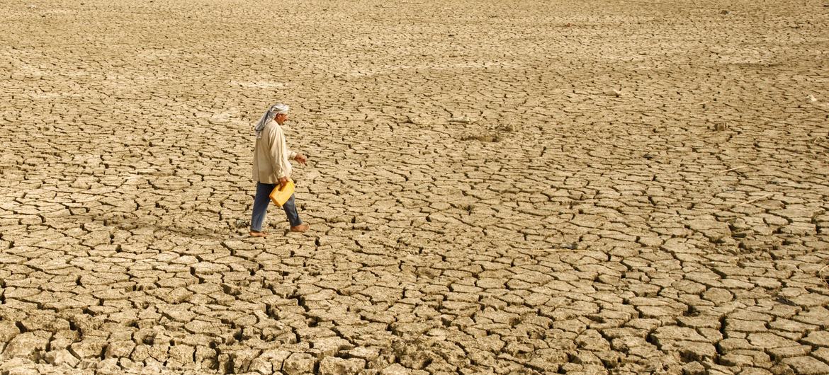Developing countries, like Iraq (pictured) lack the resources to invest in recovery, climate action and the SDGs. Developing countries, like Iraq (pictured) lack the resources to invest in recovery, climate action and the SDGs.