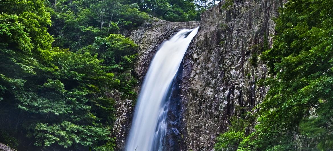 Watagataki waterfall in the Tedori Gorge, Japan. 