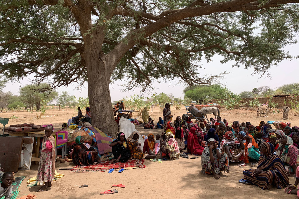 Refugees fleeing the conflict in Sudan seek shelter under a tree in the village of Koufroun, in neighbouring Chad. Refugees fleeing the conflict in Sudan seek shelter under a tree in the village of Koufroun, in neighbouring Chad.