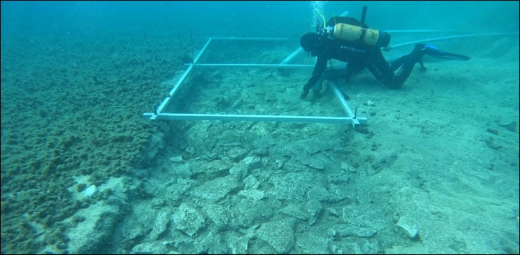 7 thousand years old road discovered in the sea