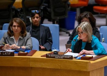 Despite gains, Iraq has not yet ‘turned the corner’, Security Council hears