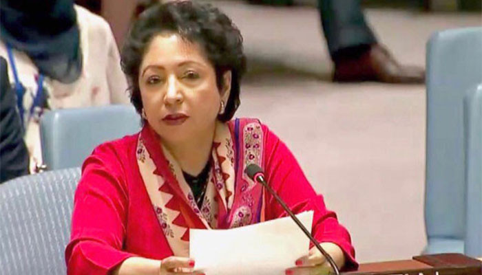 Nothing surprising happened in Foreign Minister's visit to India, Maleeha Lodhi